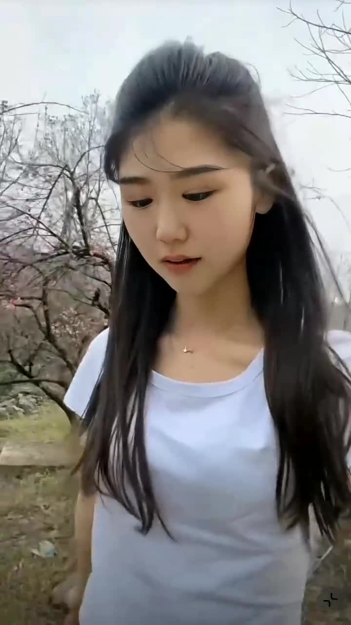 在那桃花盛开的地方