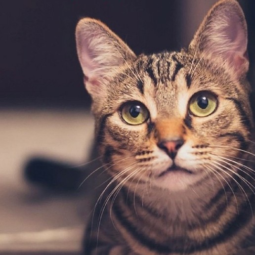 tt 转租，价格可谈