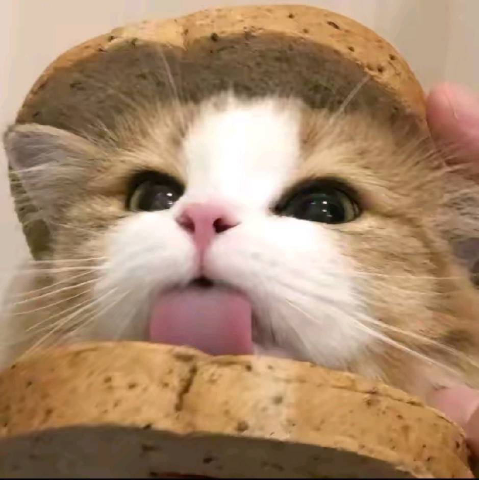 小玖