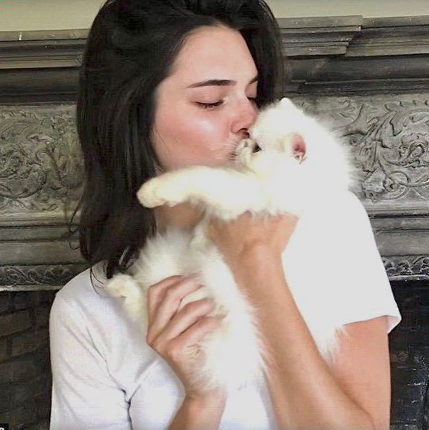 💖