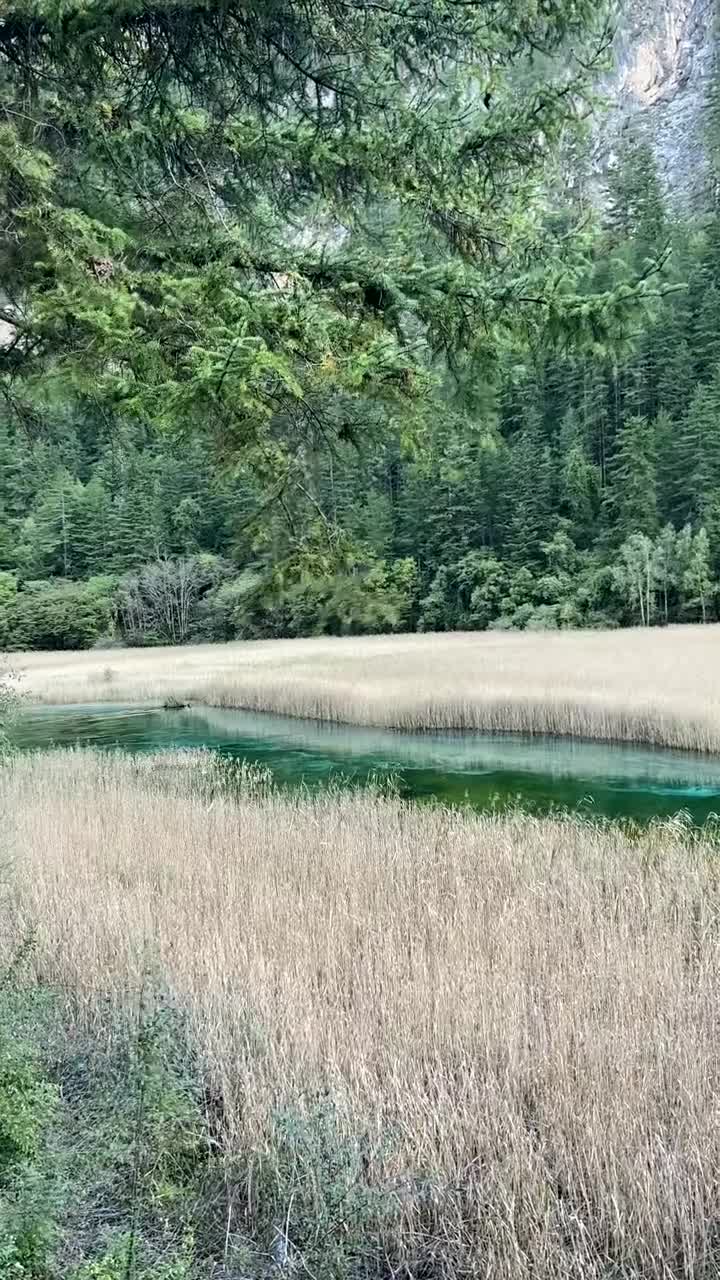 总要去一次九寨沟