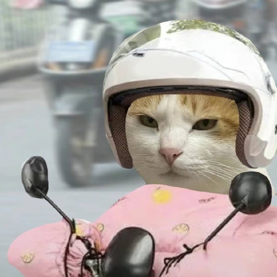 术方