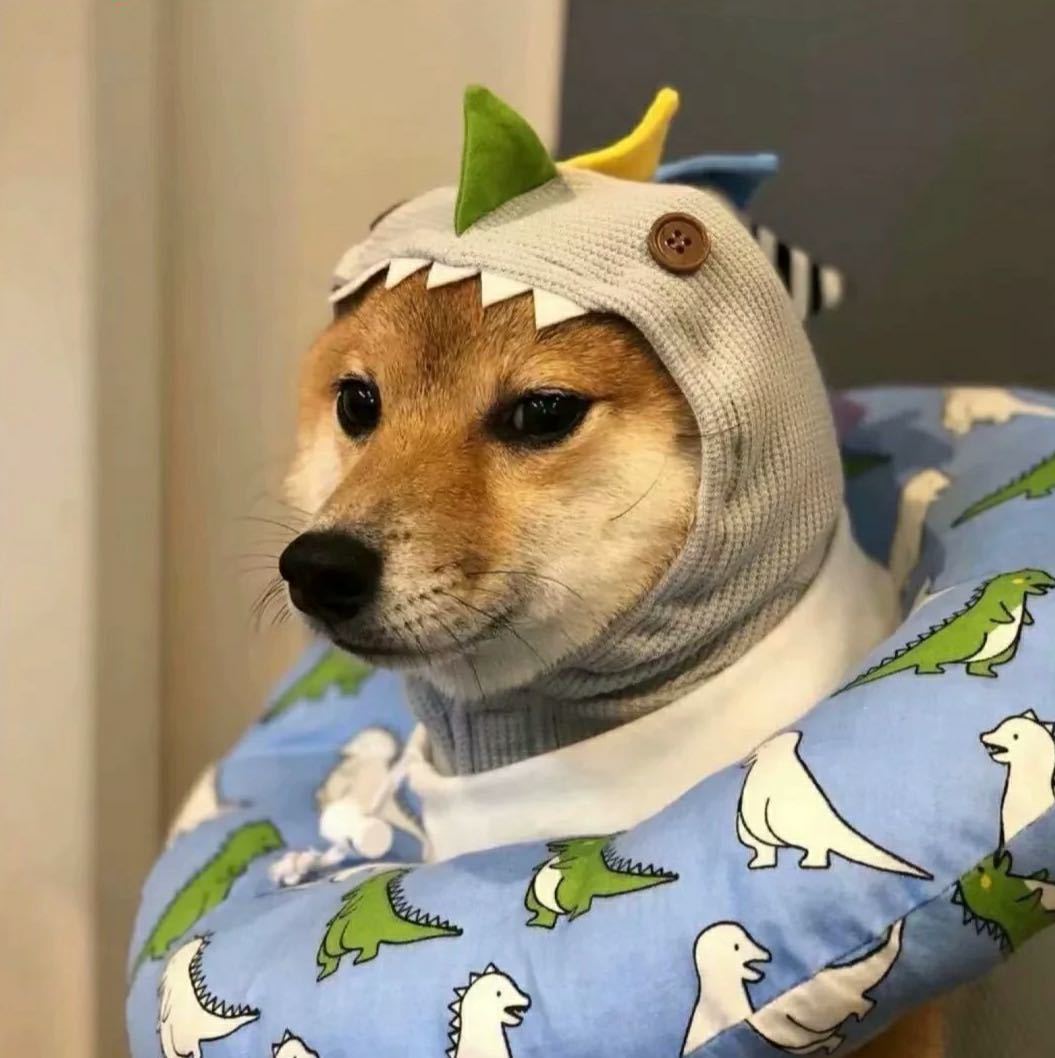 蜡笔不小新