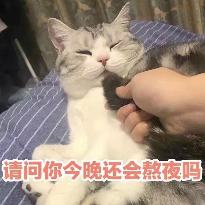 整点儿薯条