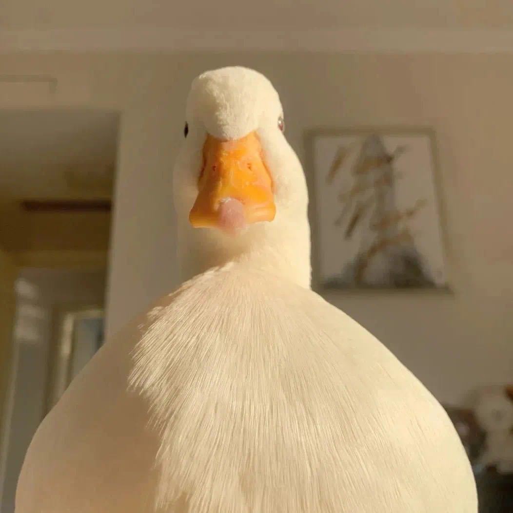 Fri