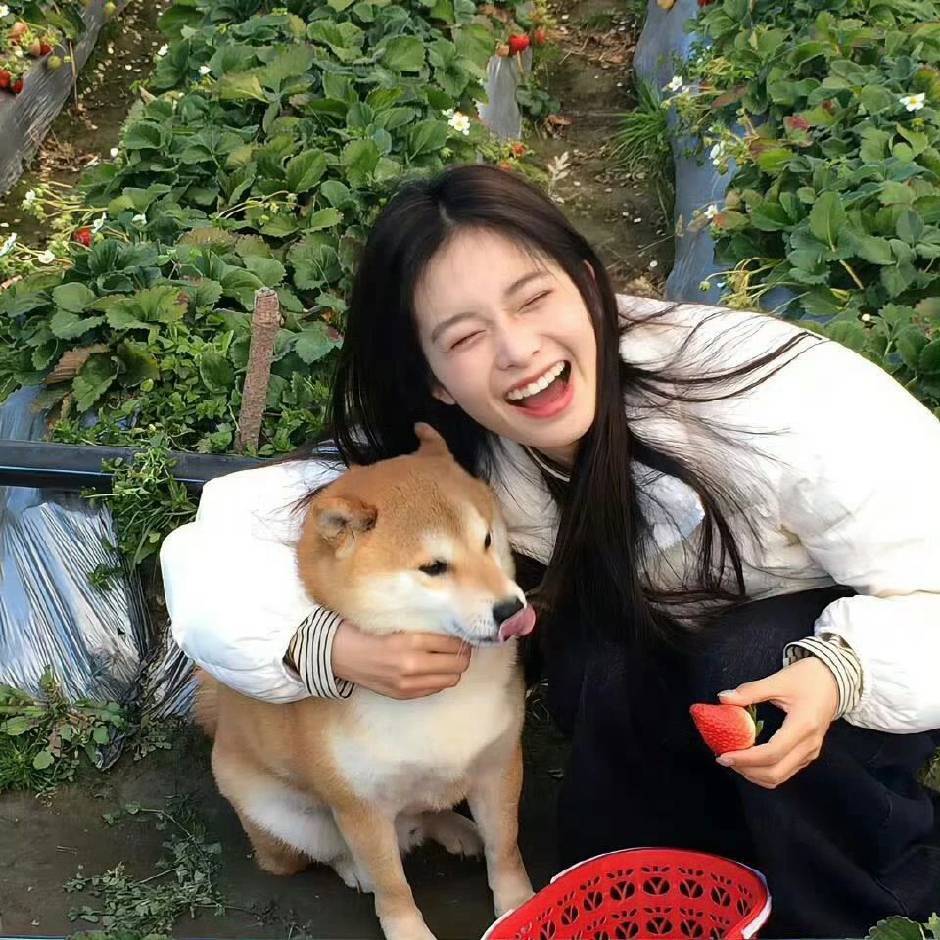 晗晗
