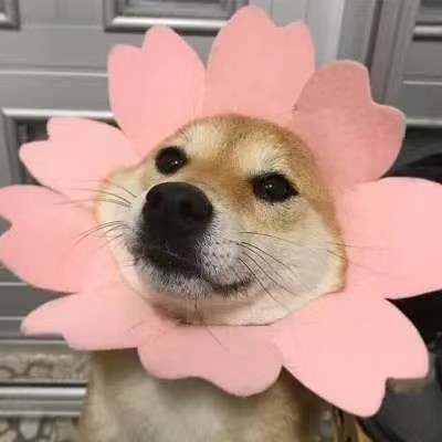 zzktot