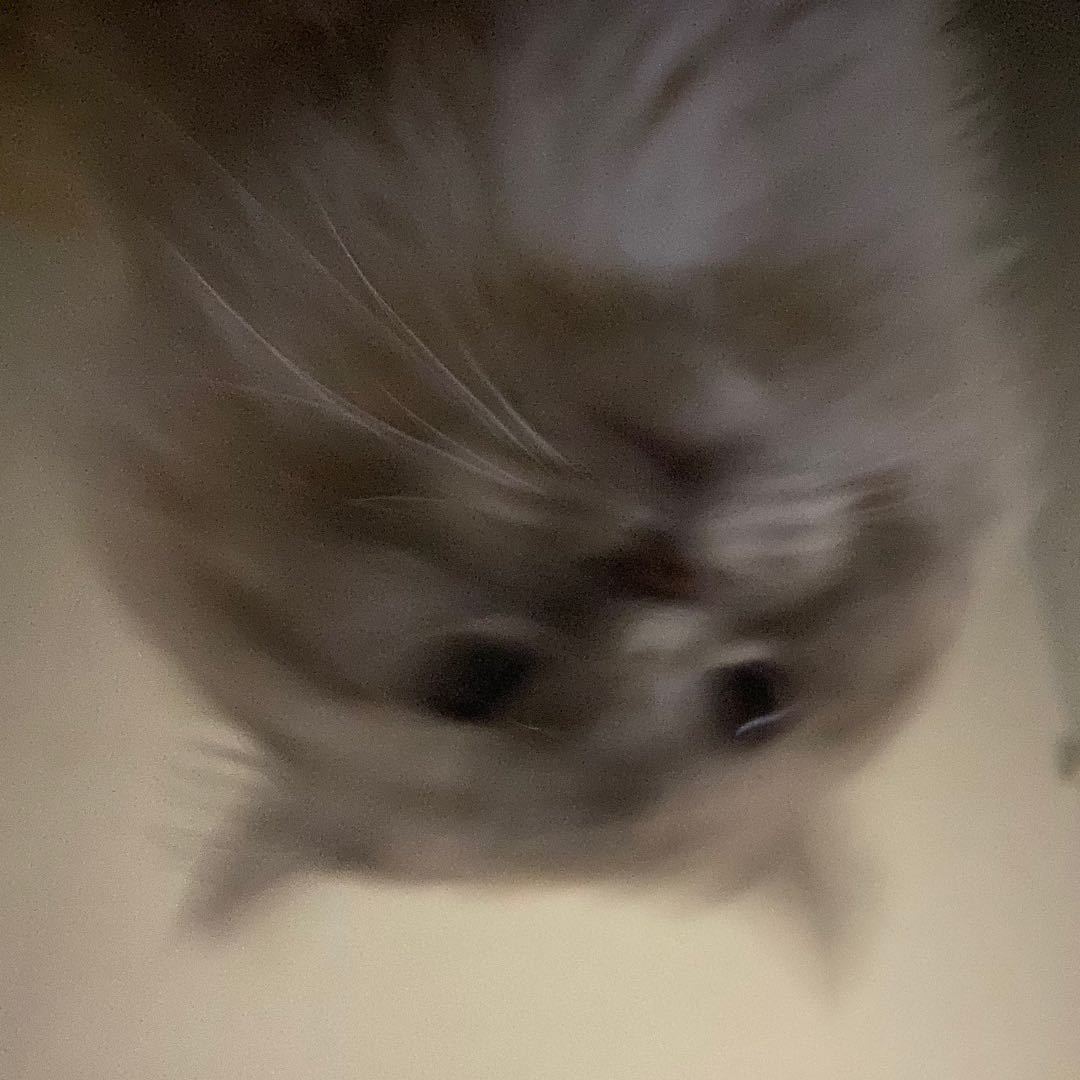 一起吹晚风吗？