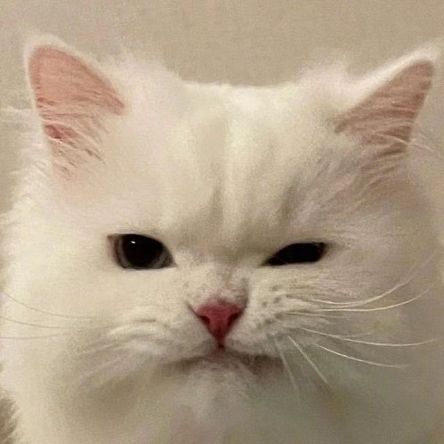 🎐