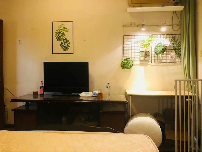 Shanghai-Putuo-Pet Friendly