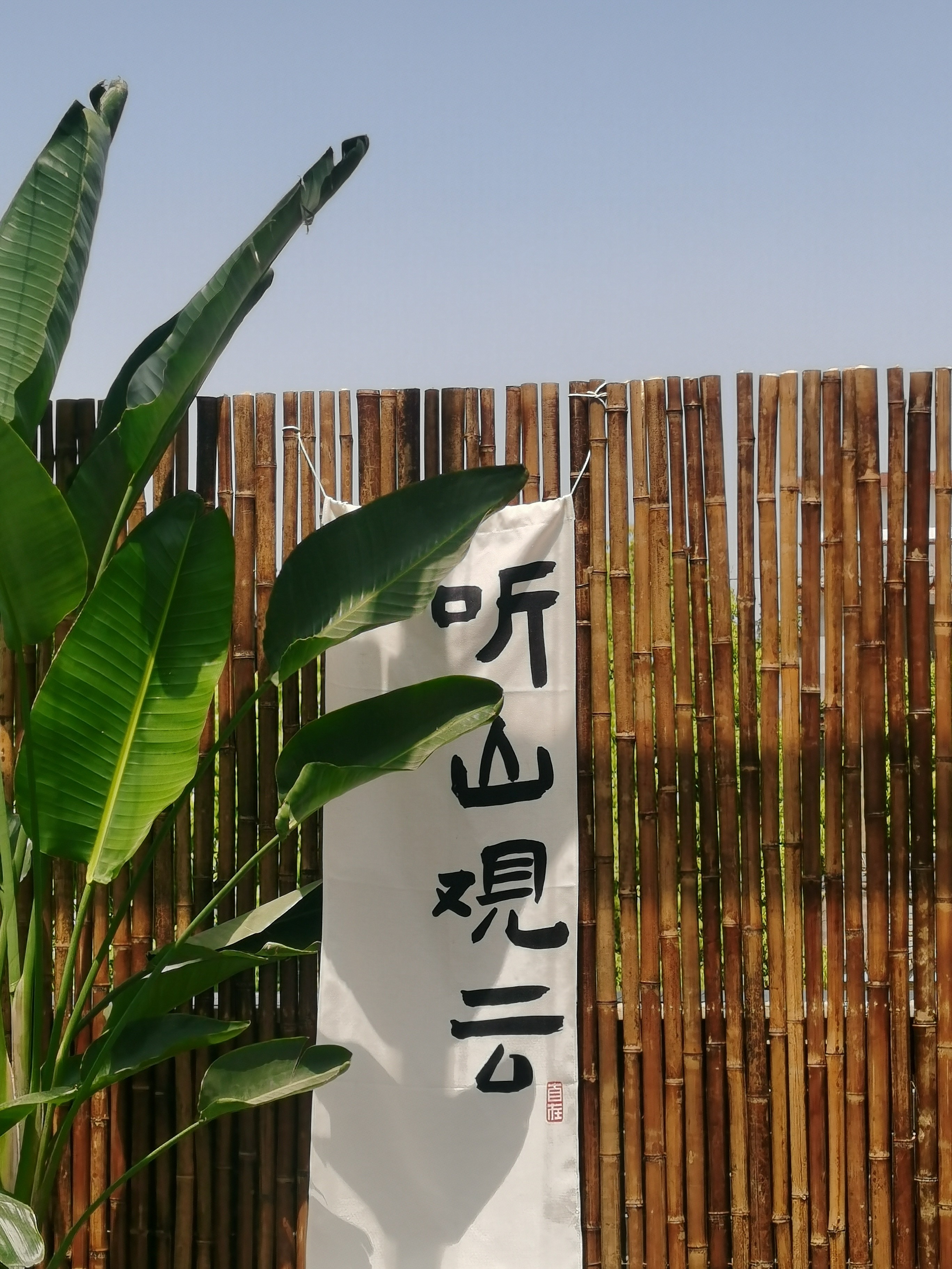 life_photo_0
