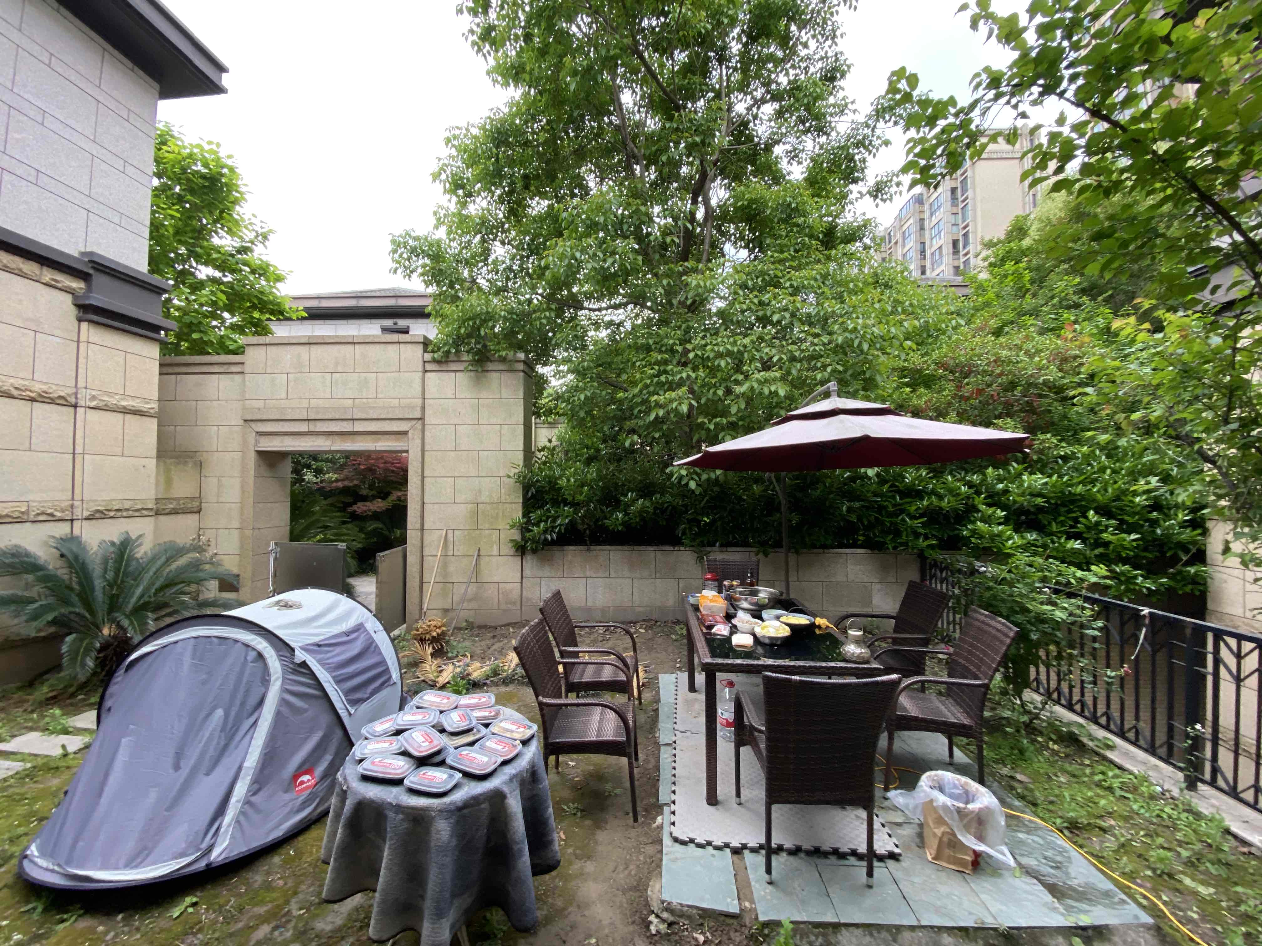 晚上全家一火锅，我的单身公寓里的单身朋友_1