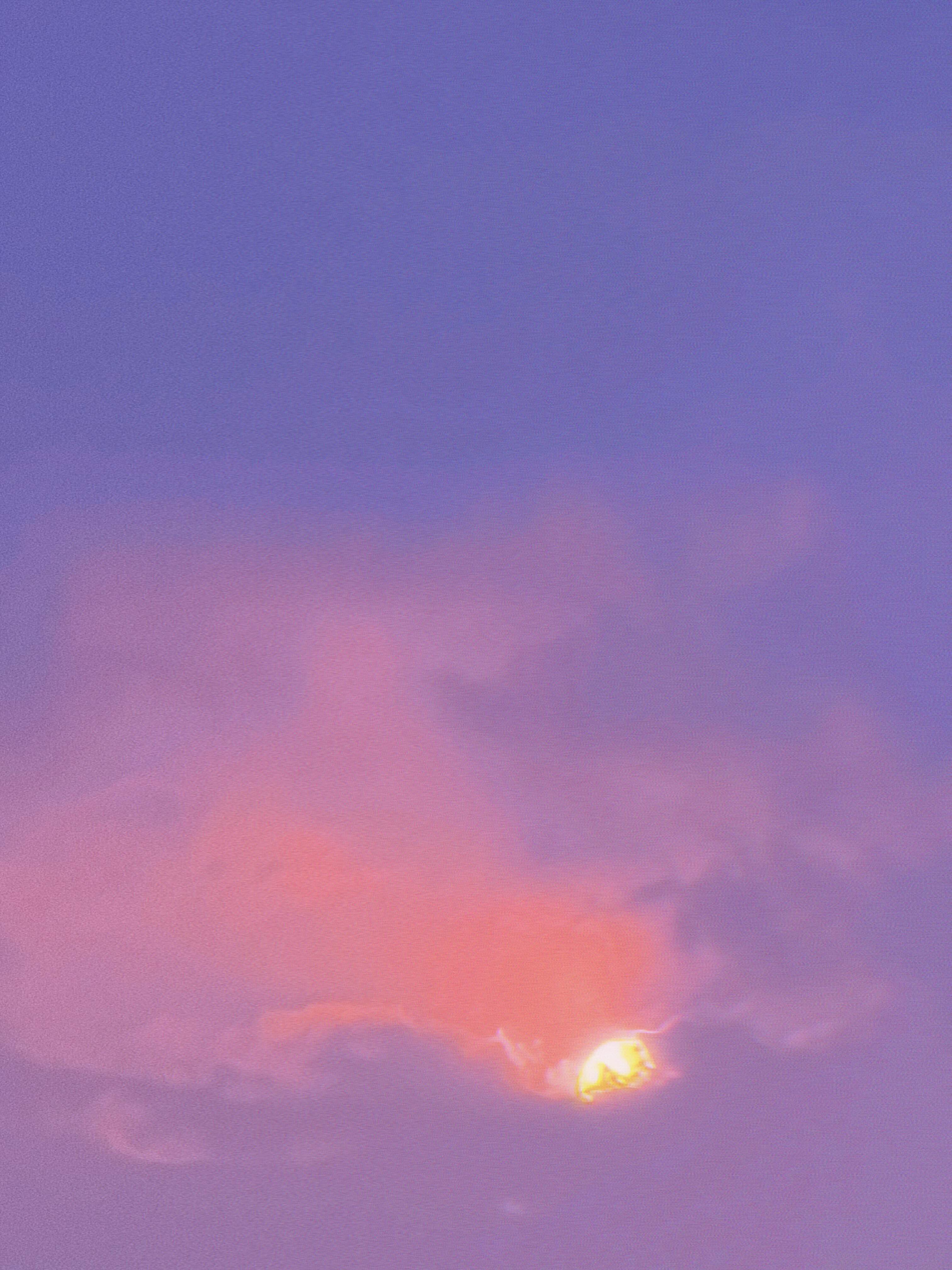 life_photo_0