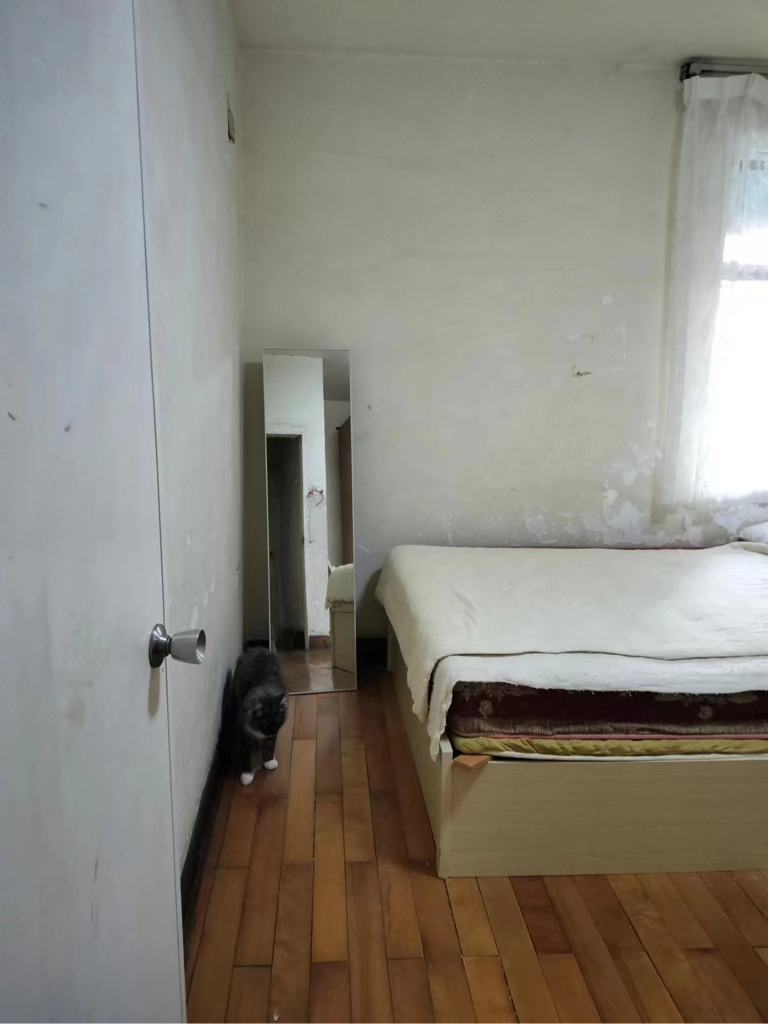 成都-成華-溫馨小窩,乾淨治愈