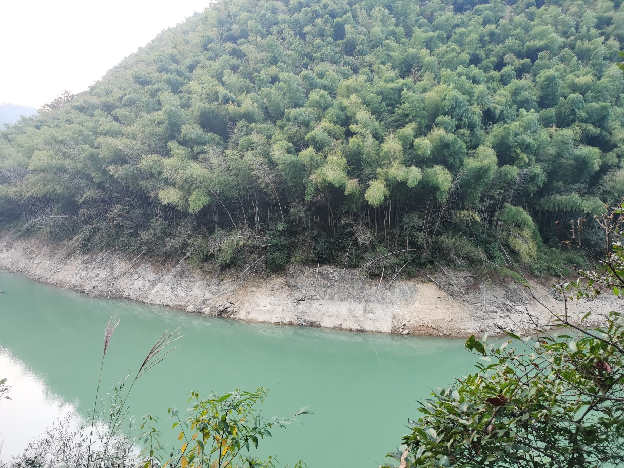 丛林冒险 在线蹲室友 _1