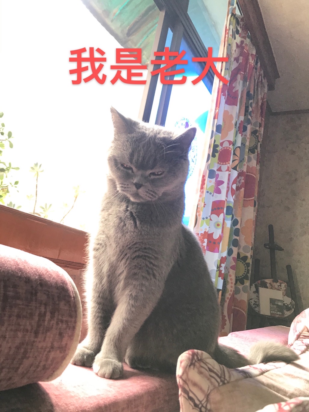 life_photo_0