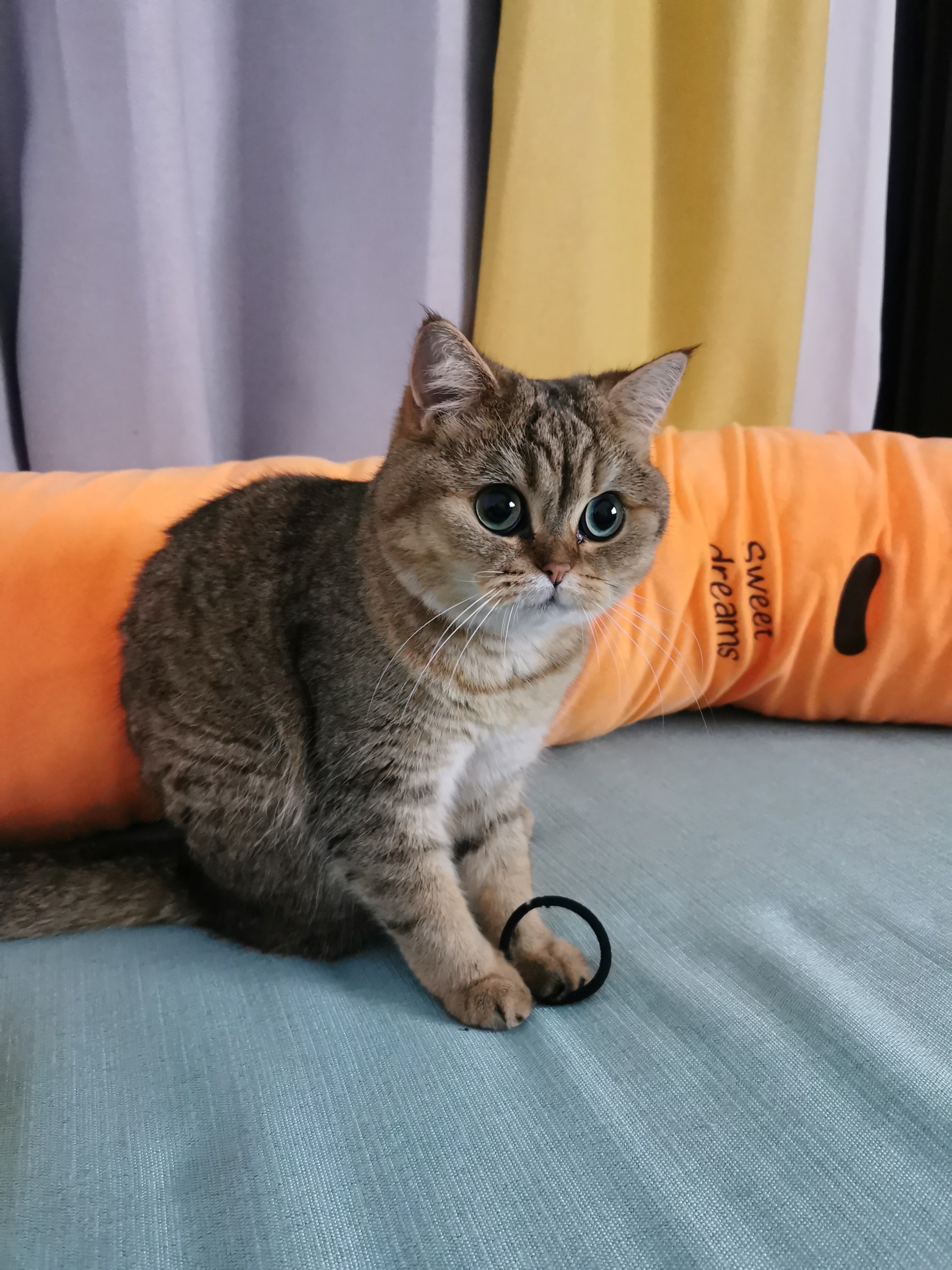 萌萌哒(*^ω^*)♡_1