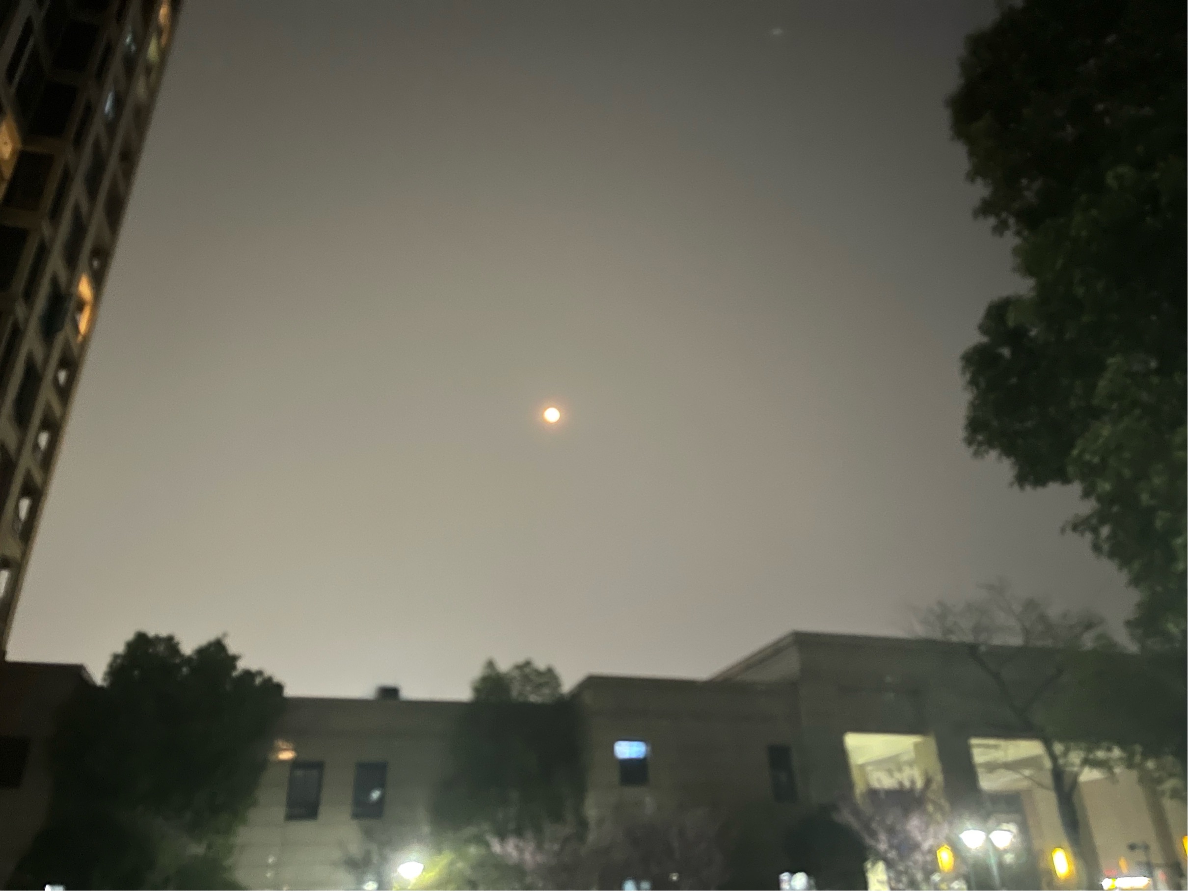 FreeFly整租房源2
