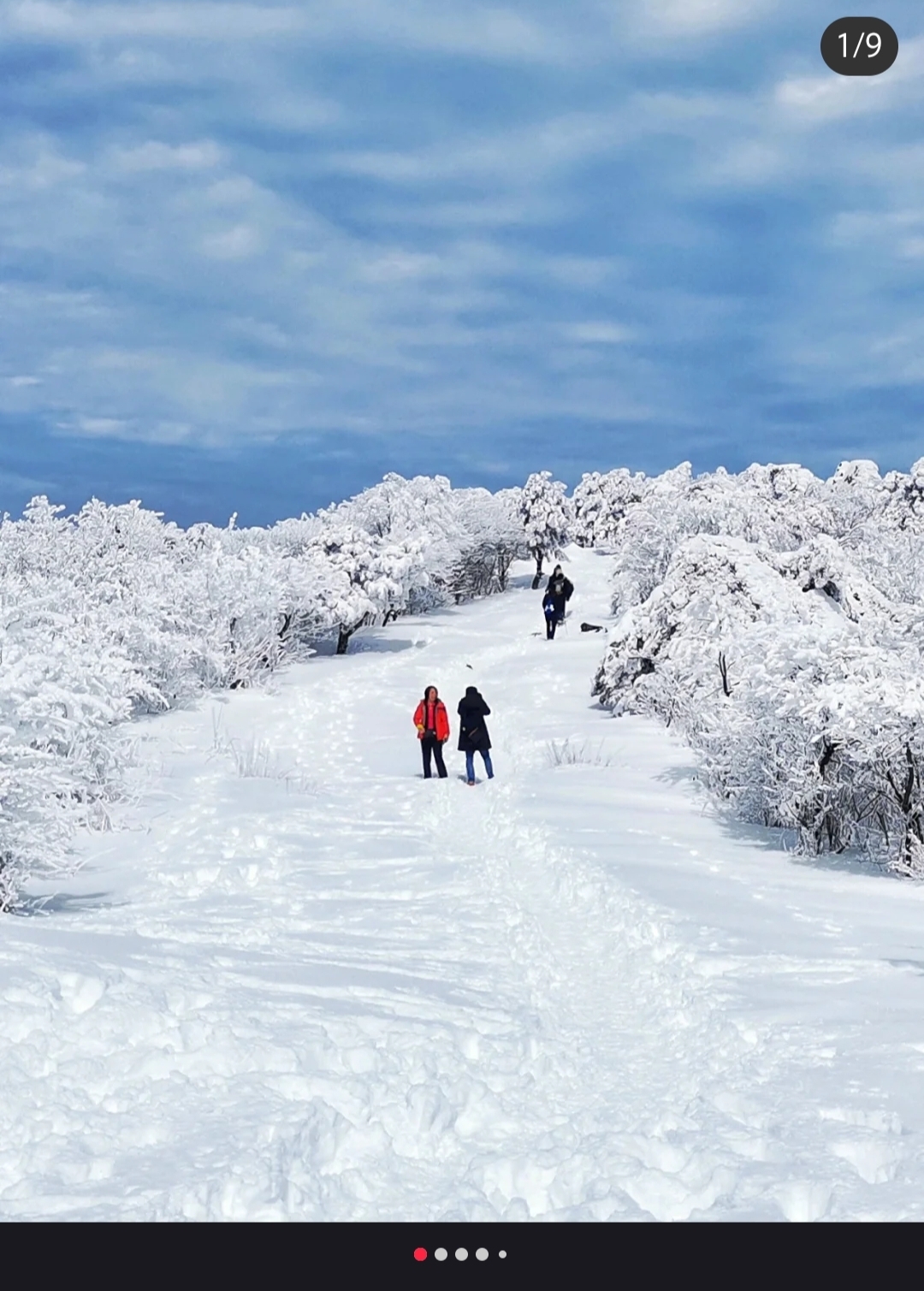 上一次滑雪还是5年前