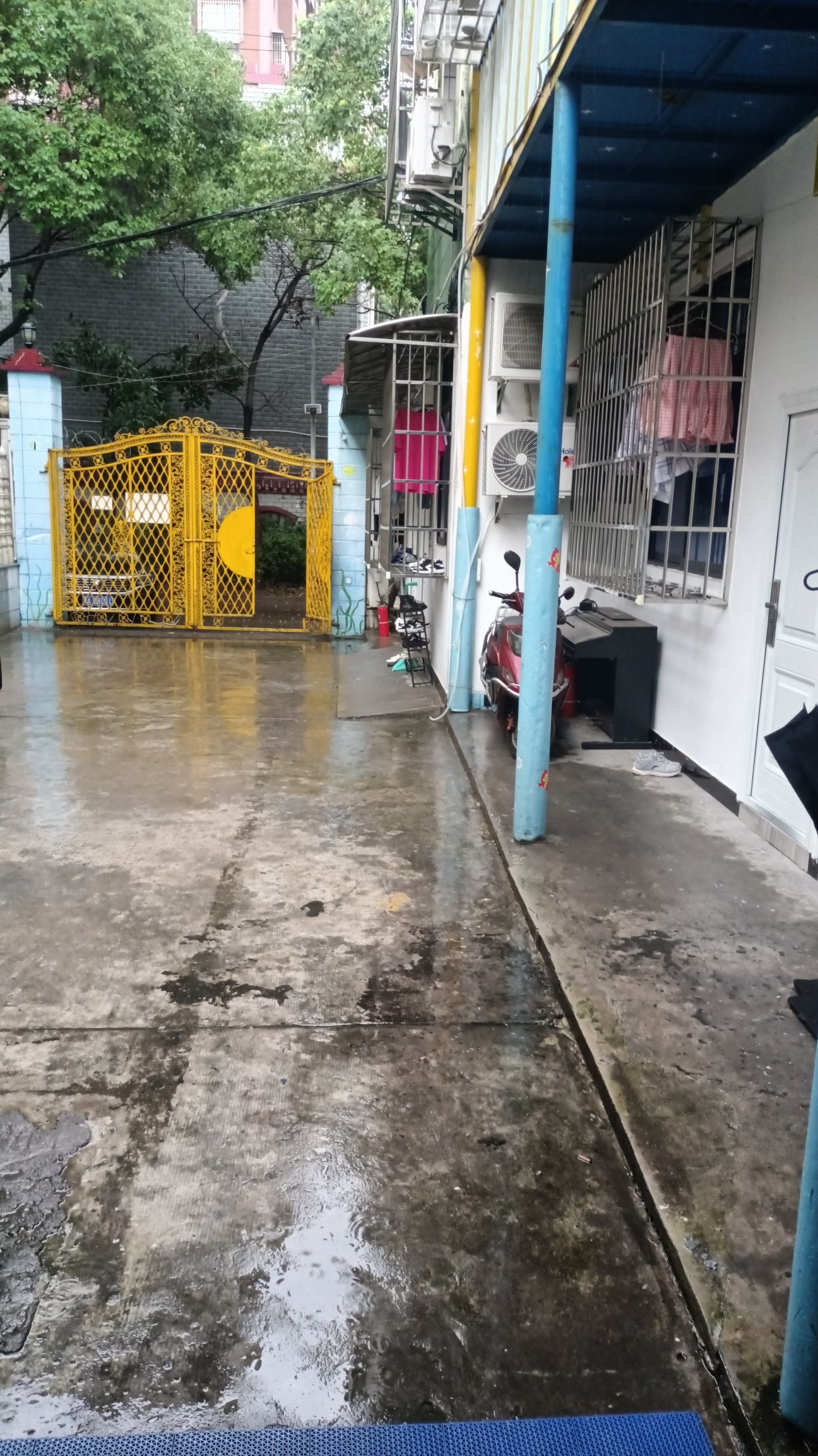 终于降温了，不然会热死 