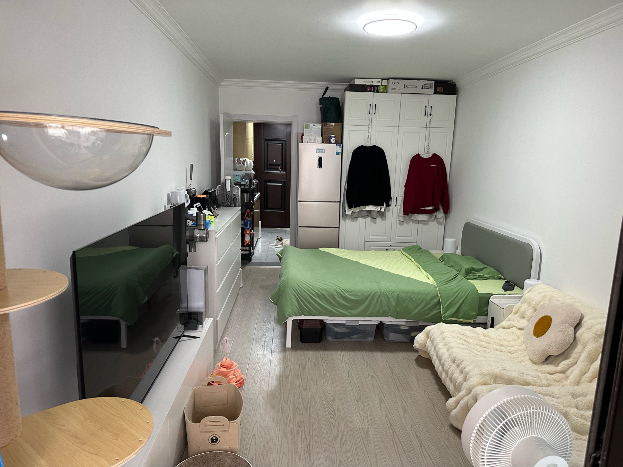 Shanghai-Jing‘An-LGBT友好,Pet Friendly,Cozy Home,Clean&Comfy,No Gender Limit