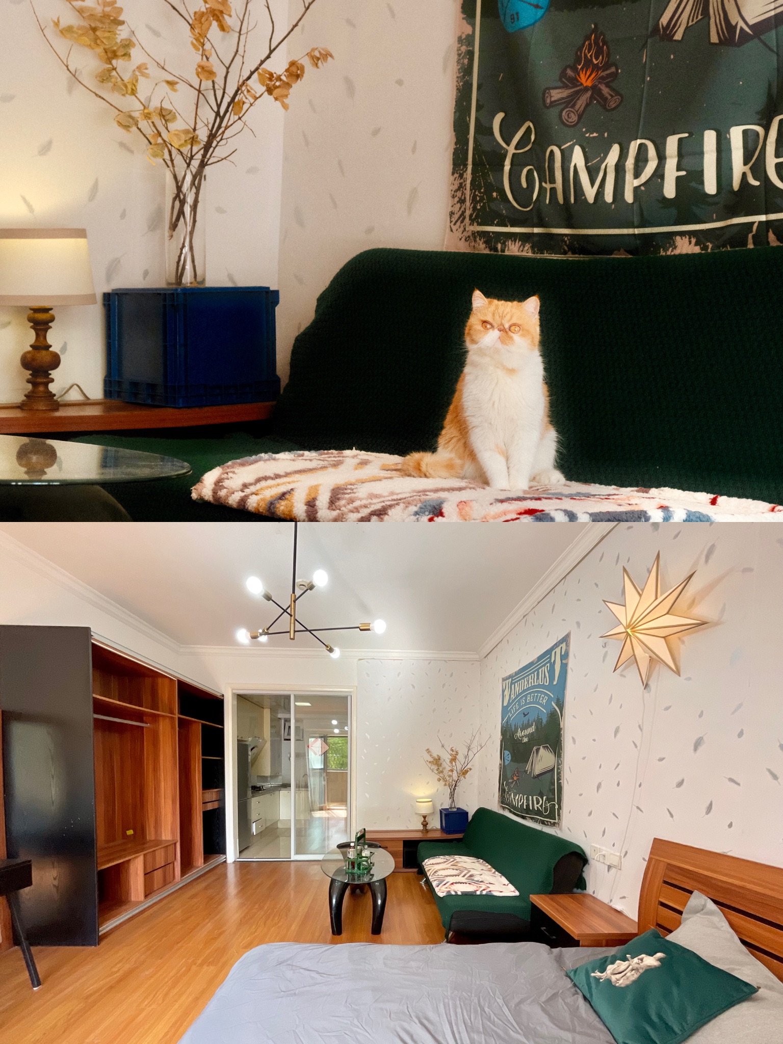 早安喵🏠☀️🐈顺带转租这间房子_1