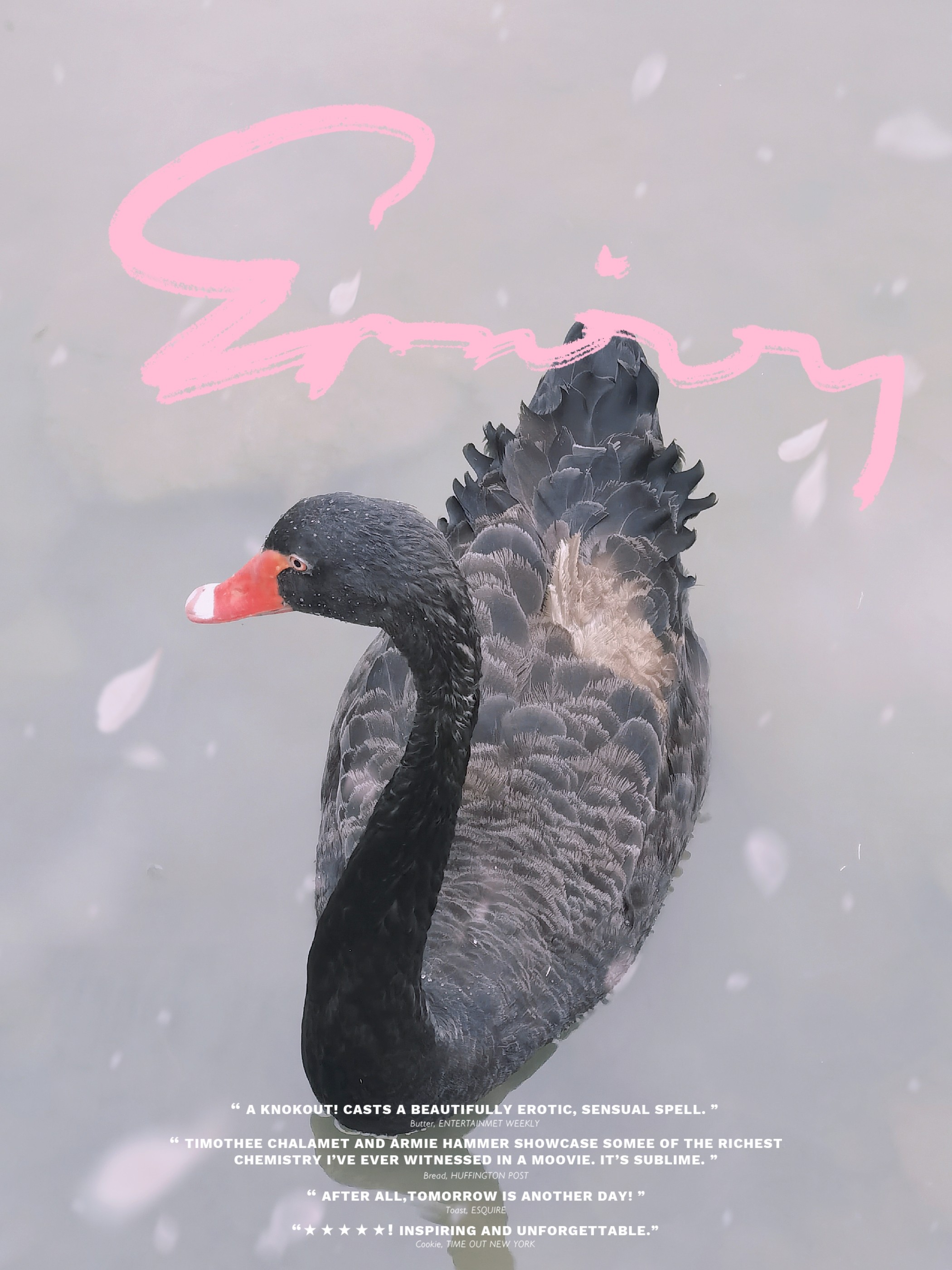 周六周日可以来看房噢