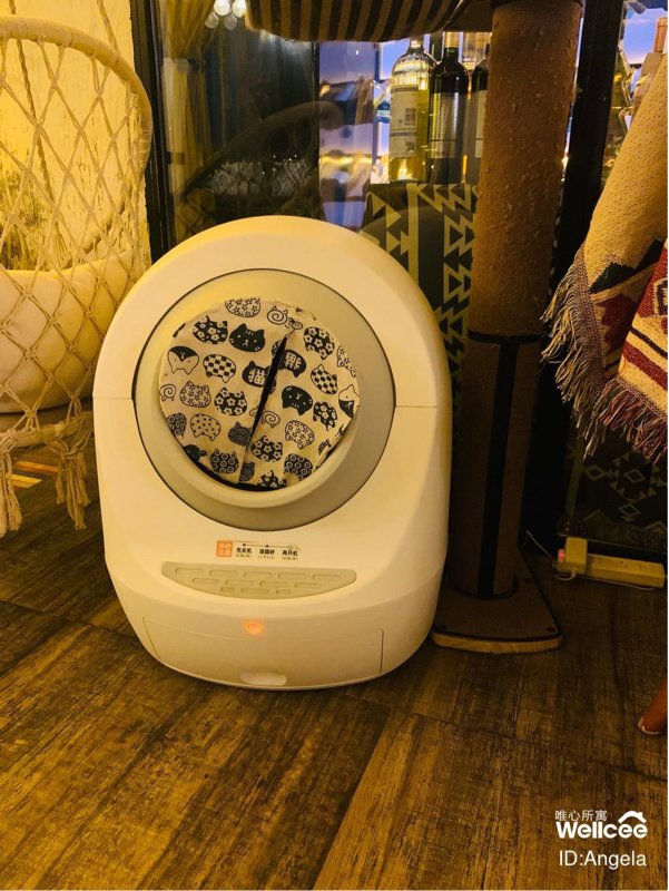 搬家转让全自动智能猫砂盆+链接手机app管理_1