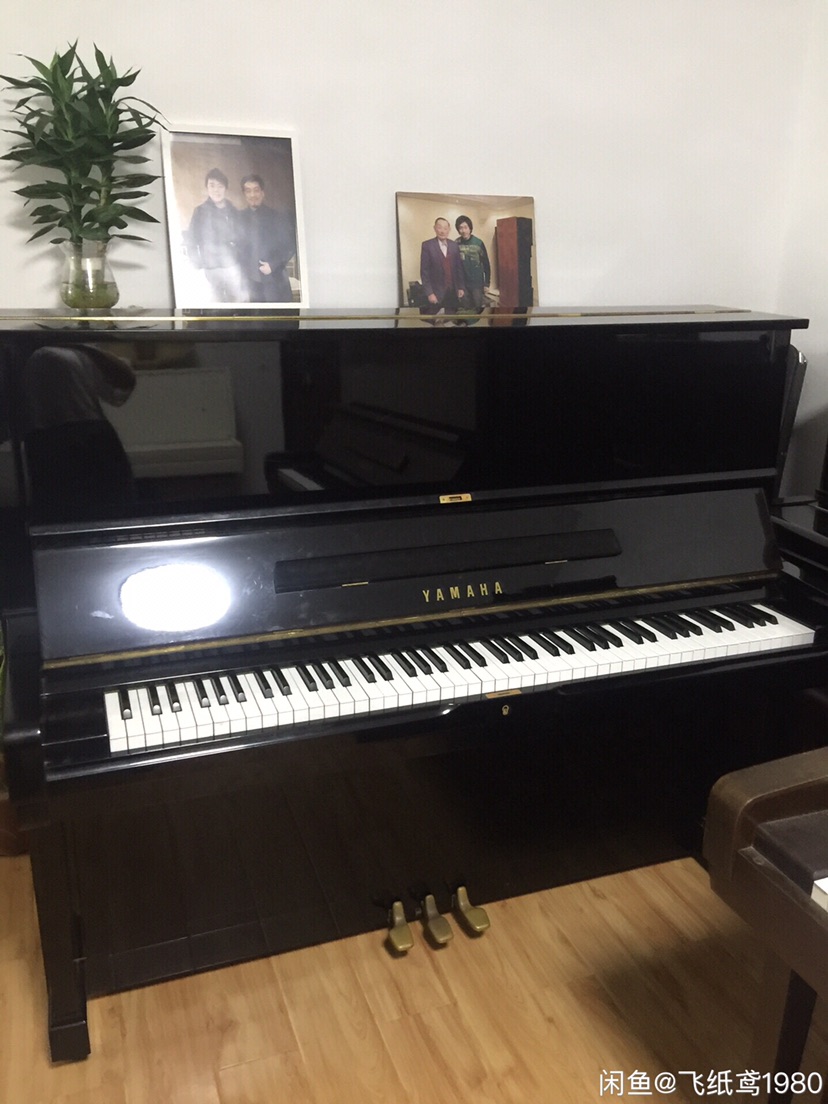 Piano rental/ lease/ sale_1