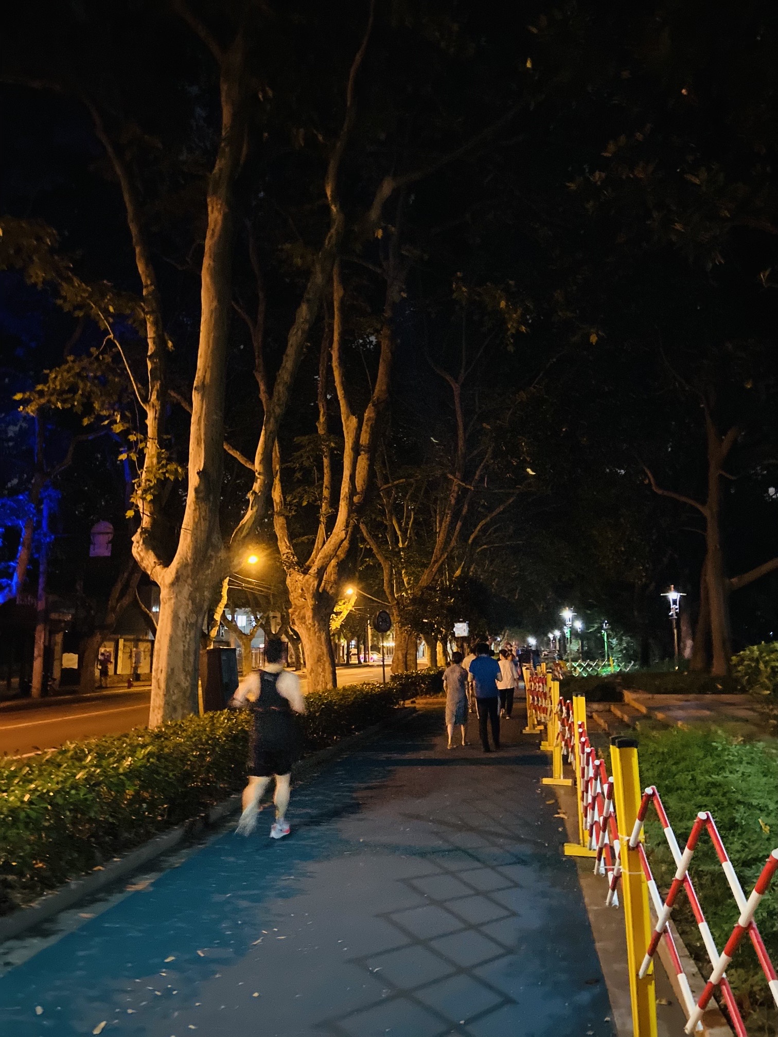 久违的徐家汇公园夜跑_1