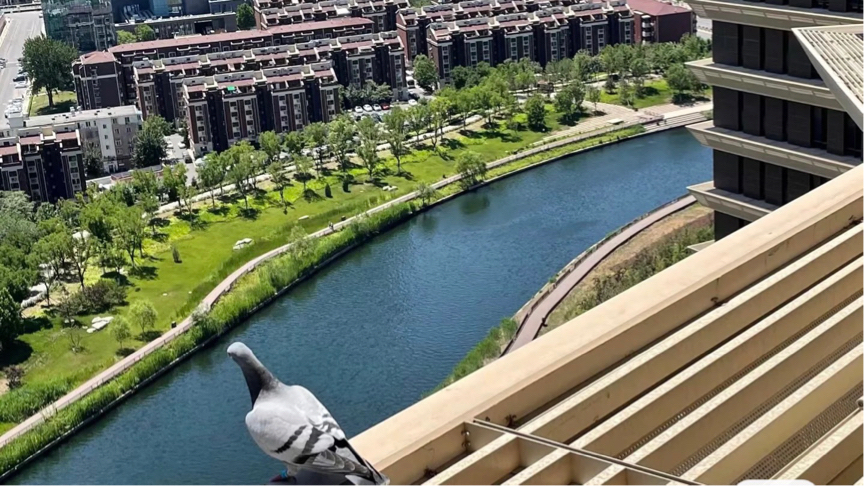 北京-通州-溫馨小窩,乾淨治愈,寵物友好