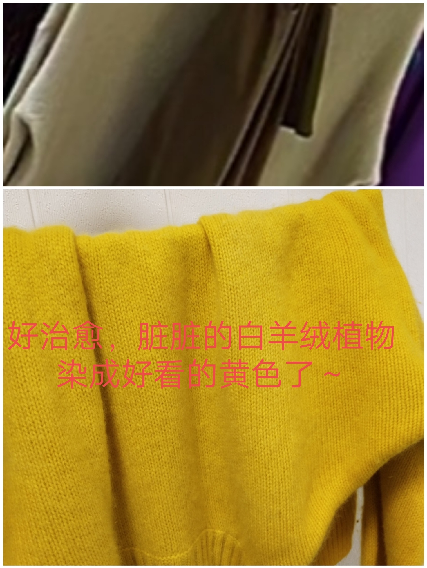 跟我学植物染～