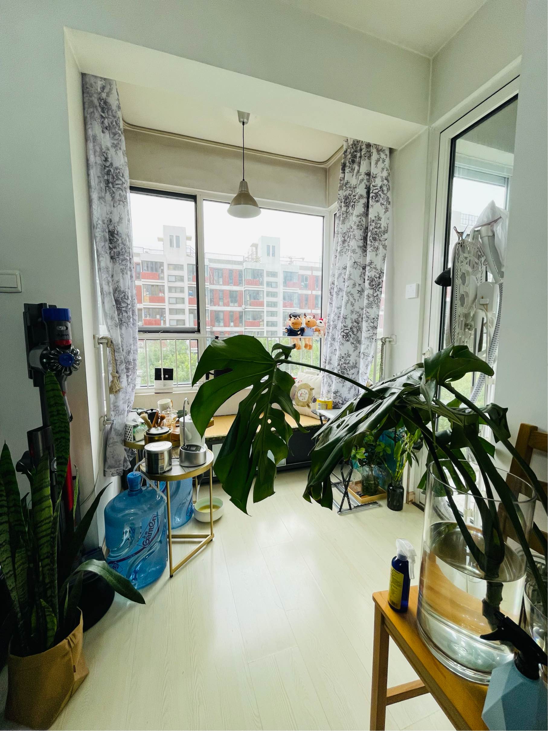 北京-朝陽-2 Bedrooms,獨立公寓,寵物友好,搬離,LGBTQ友好