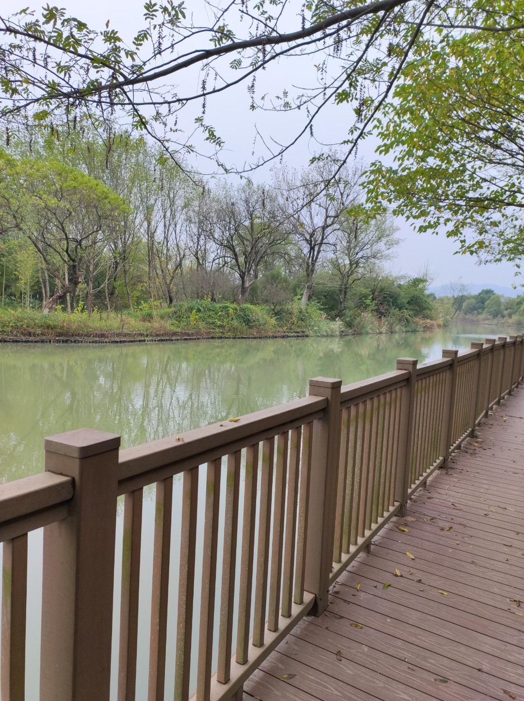 跑起！  一起逃跑吧 