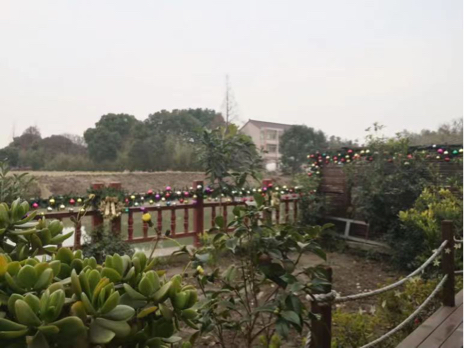 上海-浦东-温馨小窝,干净治愈,不限性别,市井烟火气