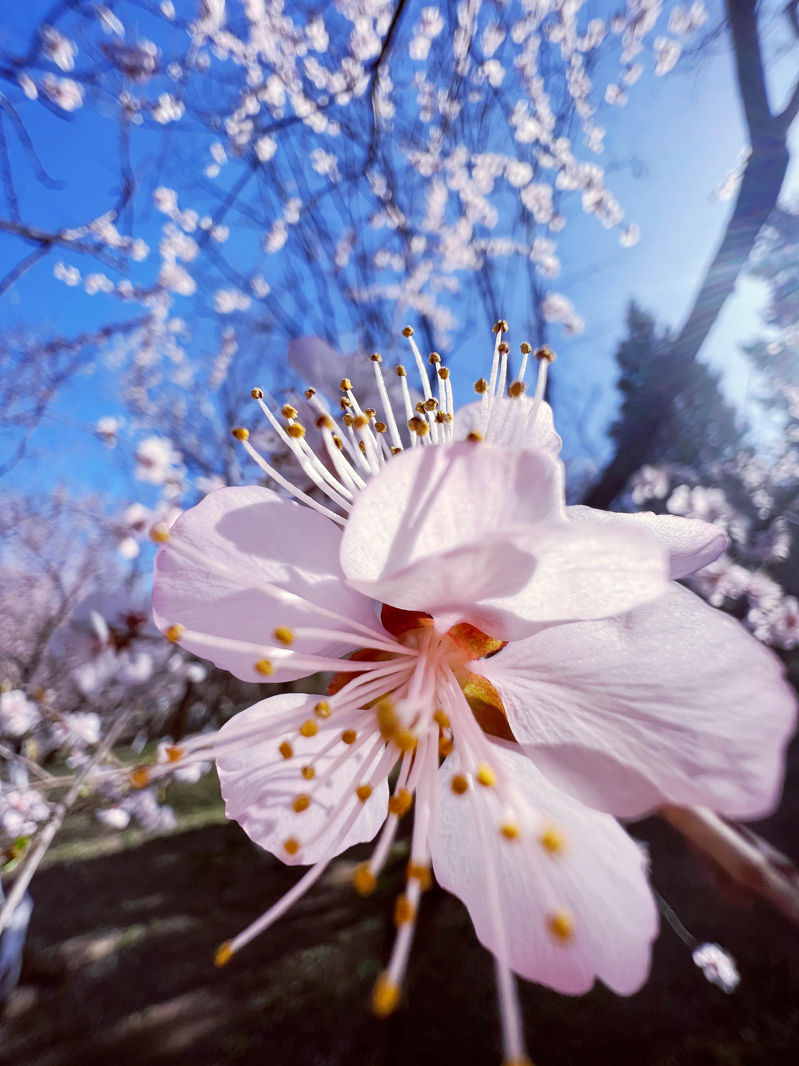住在河边的福利～