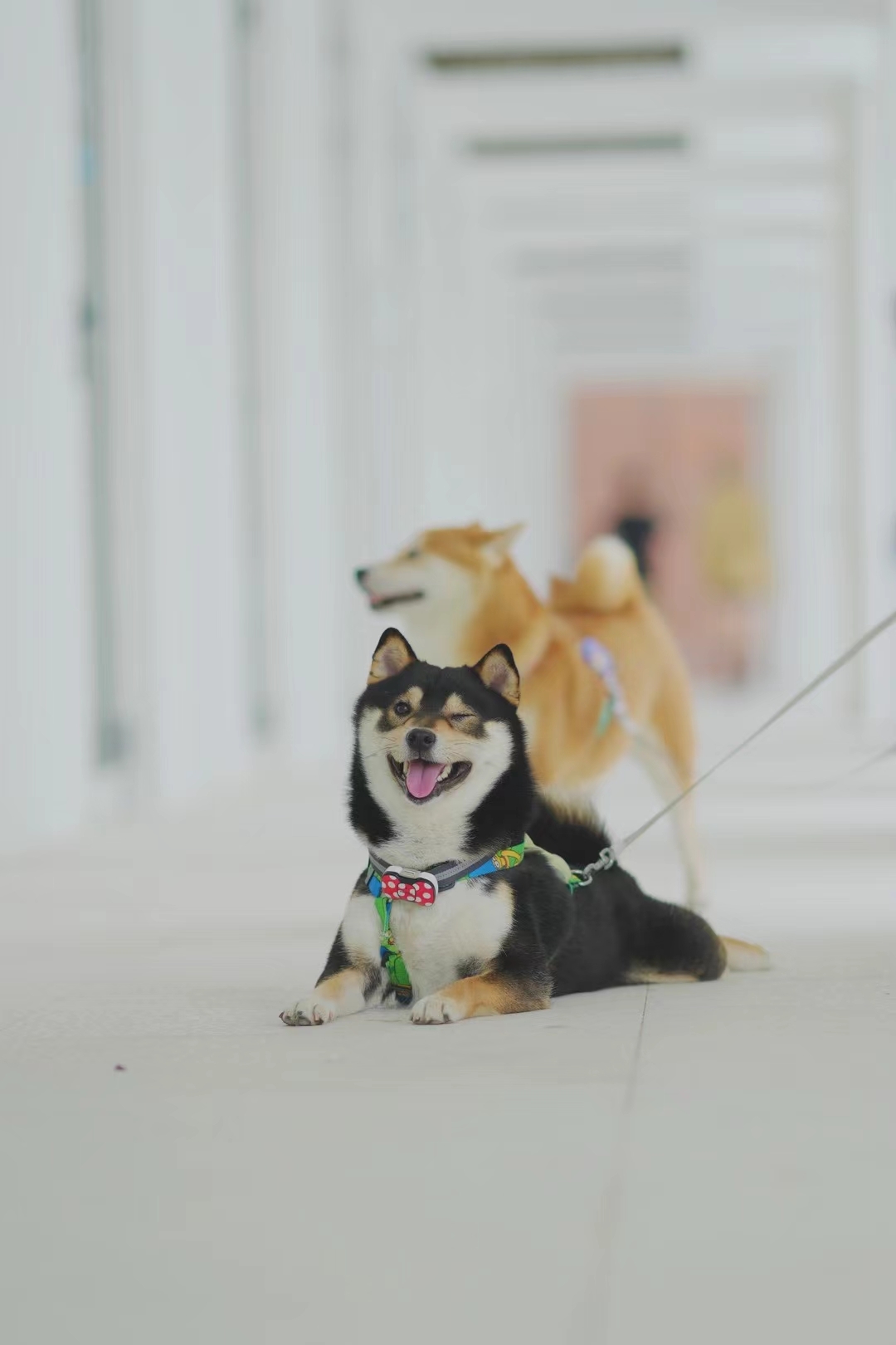 小子，暗送秋波啊，哈哈哈哈！ 完美室