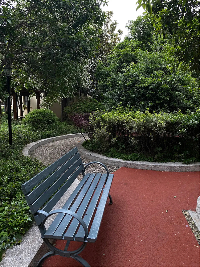 上海-徐汇-干净治愈,不限性别,宠物友好