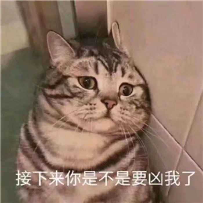 life_photo_0