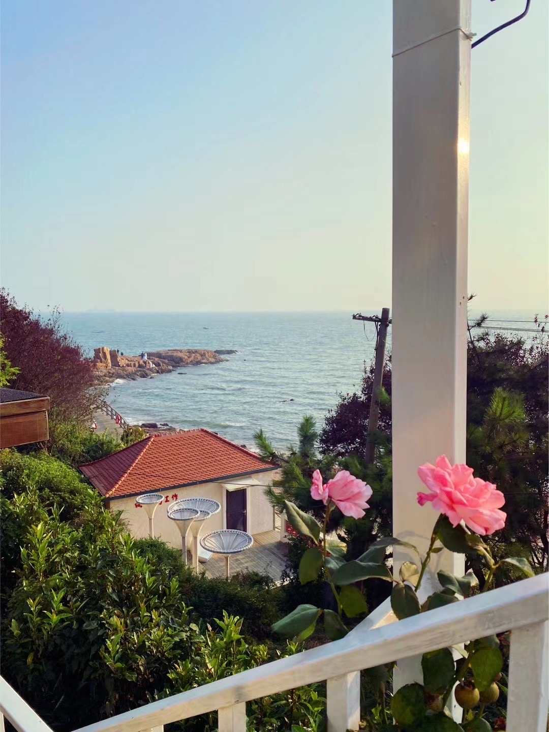 我决定房租降价了_1