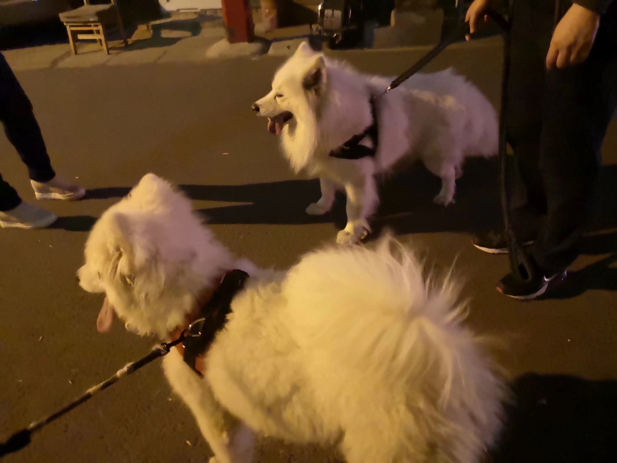 你欠钱的微信就像无语子讲_1