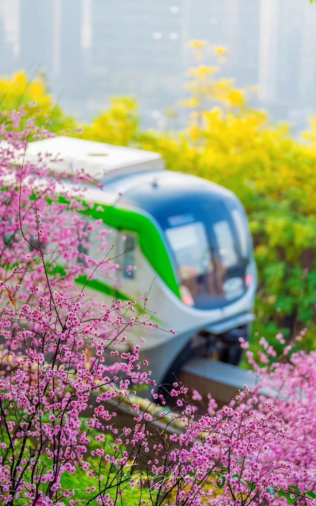 心似已灰之木，身却难做不系之舟，真是可悲