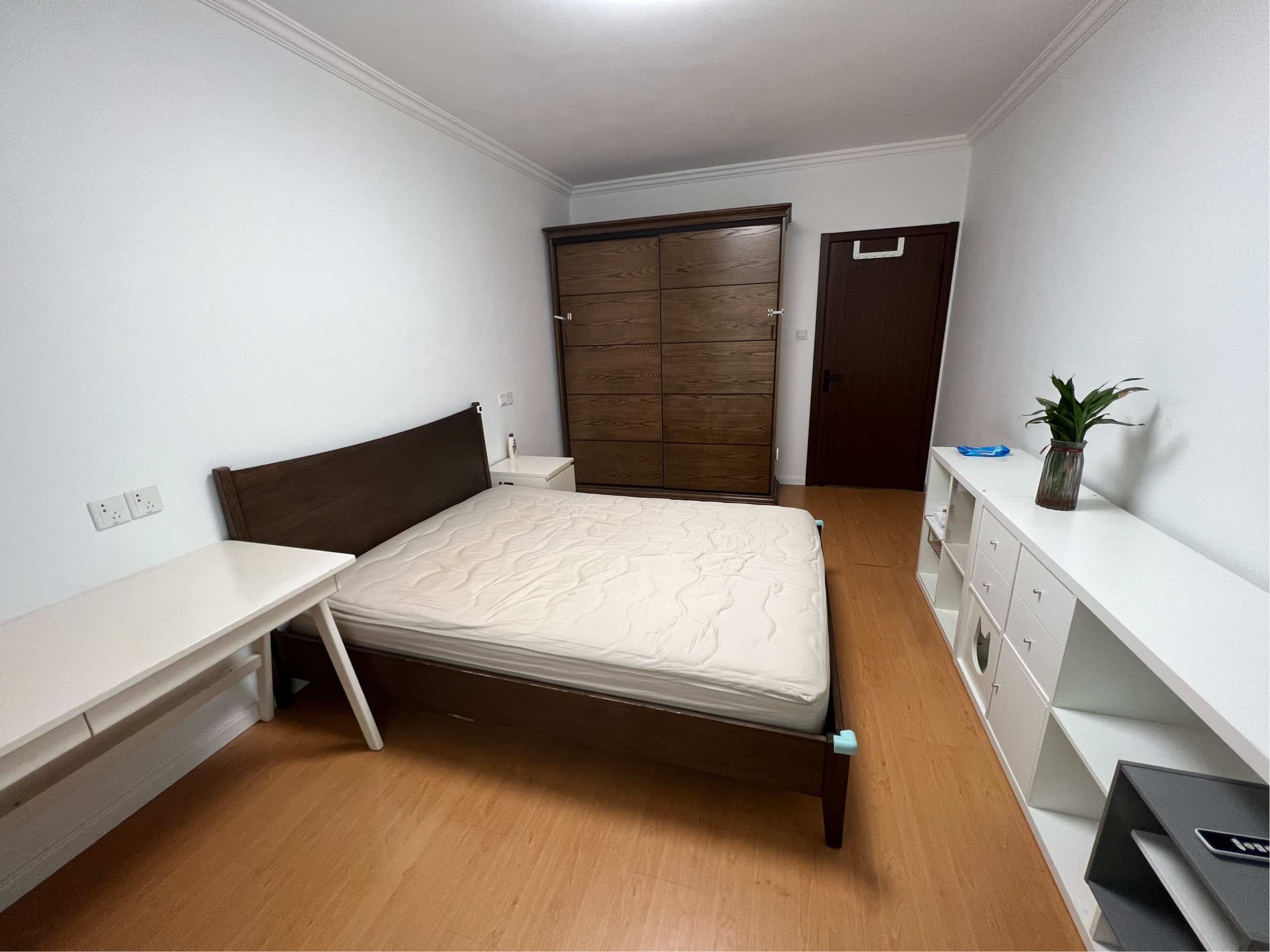 Shanghai-Jing‘An-Cozy Home,Clean&Comfy,No Gender Limit,Hustle & Bustle,“Friends”,Chilled