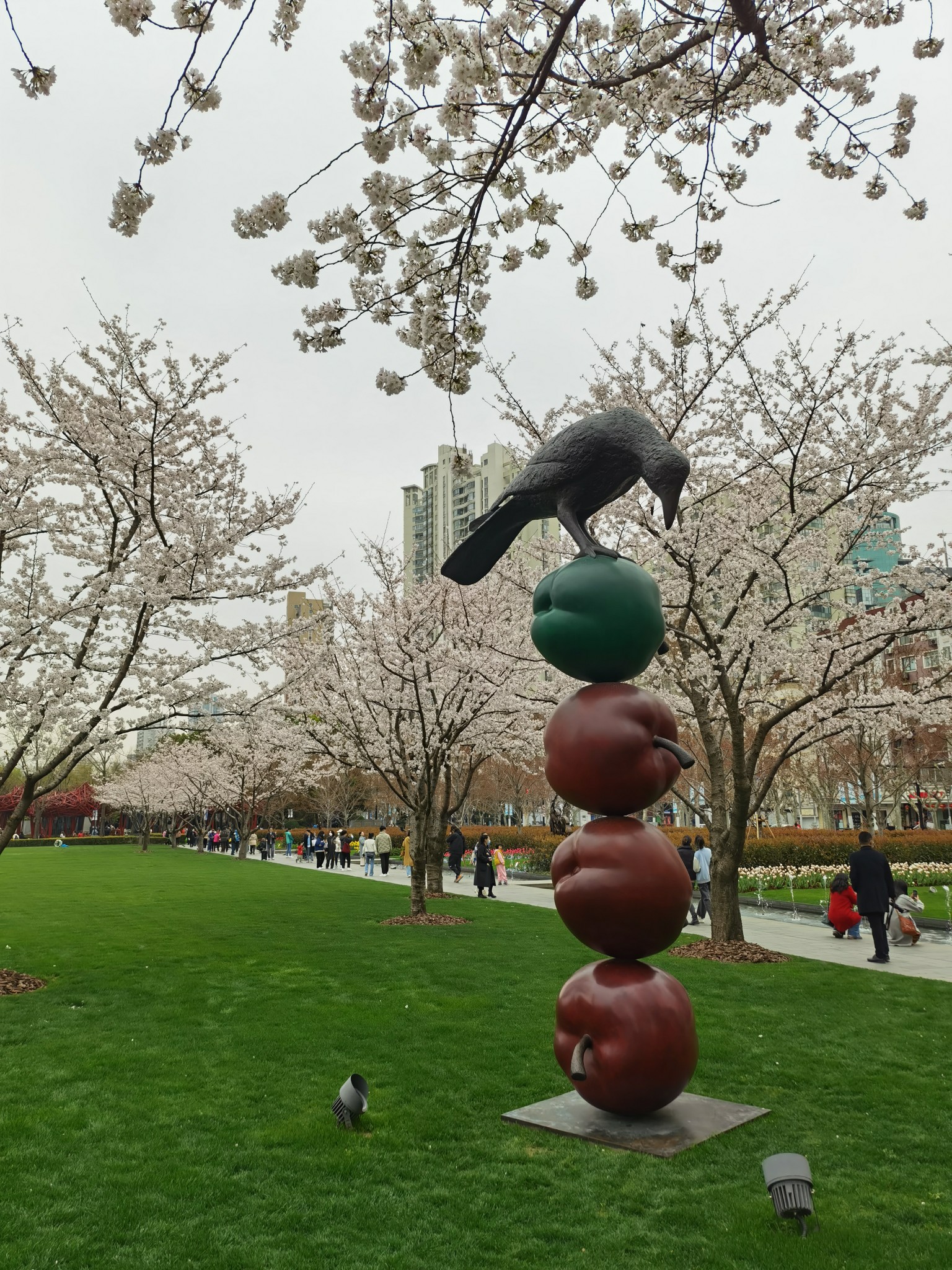 春天 在线蹲室友 