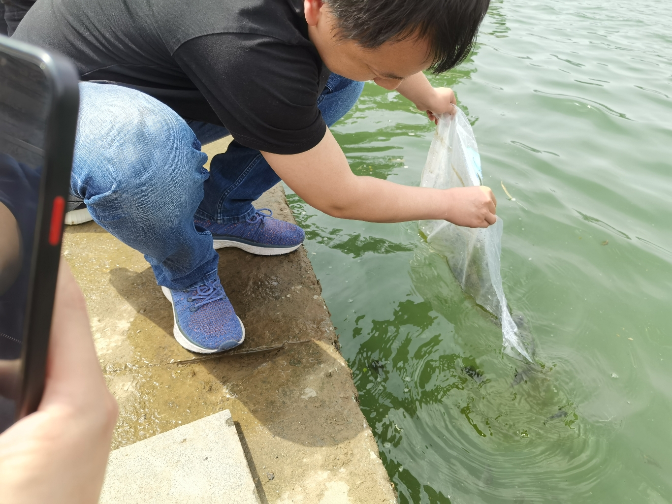  放生 增殖放流～