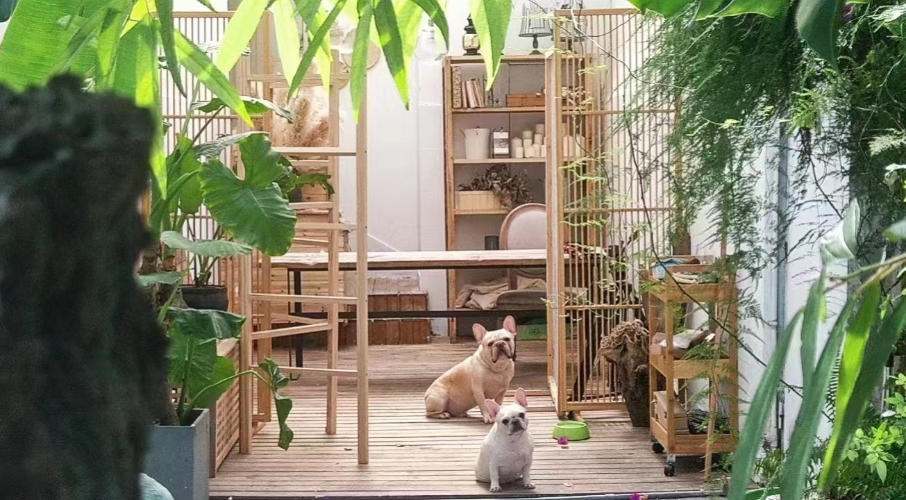 ChengduWuhouShared ApartmentSeeking FlatmateLong TermLGBTQ