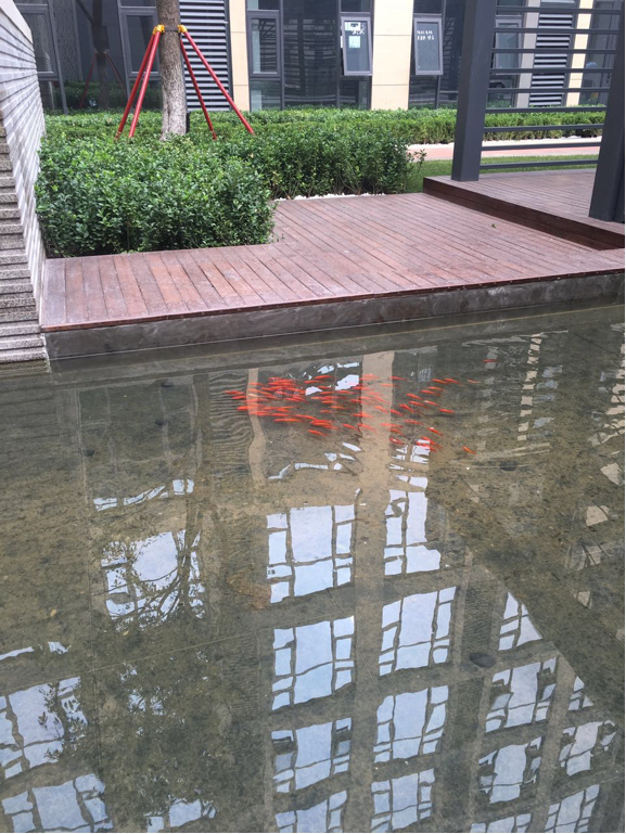 Beijing-Tongzhou-河景房大飘窗,Cozy Home,Clean&Comfy,No Gender Limit