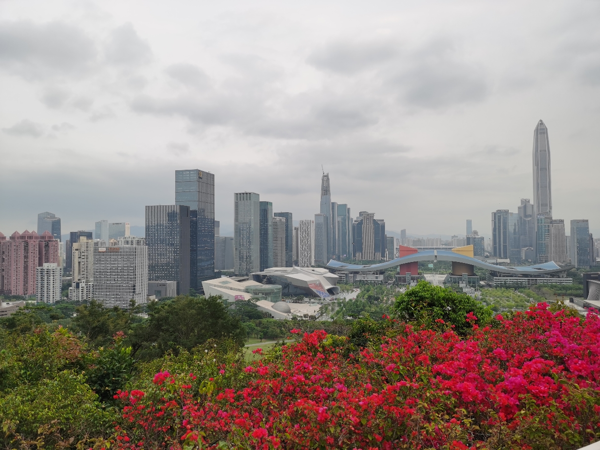 深圳莲花山_1