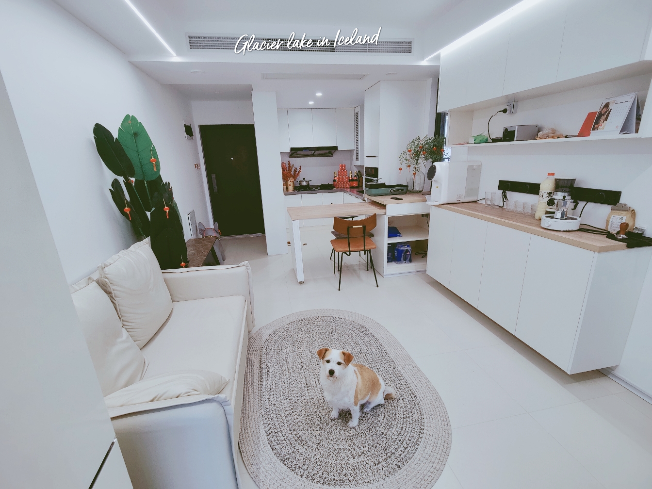 Shanghai-Xuhui-Cozy Home,Clean&Comfy,No Gender Limit,Chilled,LGBTQ Friendly,Pet Friendly