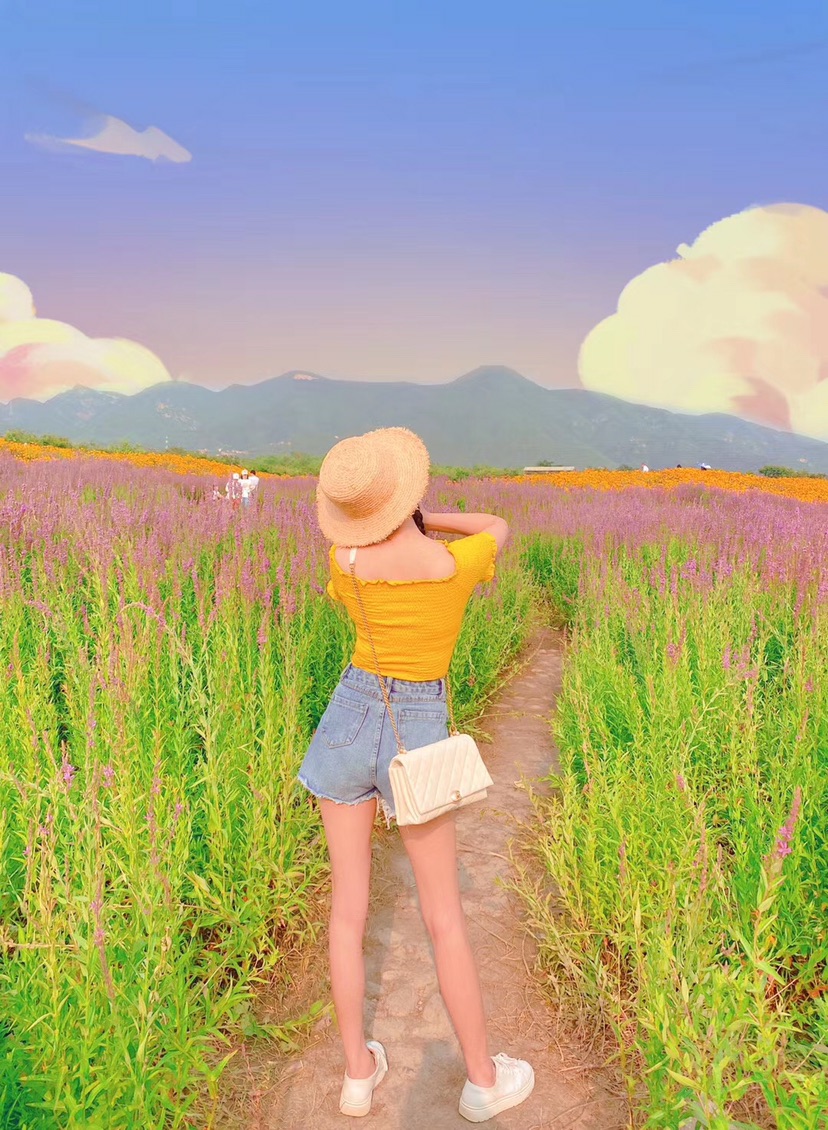 九孔桥花海 Flower Land_1